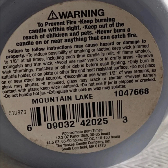 Yankee Candle Mountain Lake + Spring Globe Topper Basket Flowers 22oz Rare - Picture 8 of 12